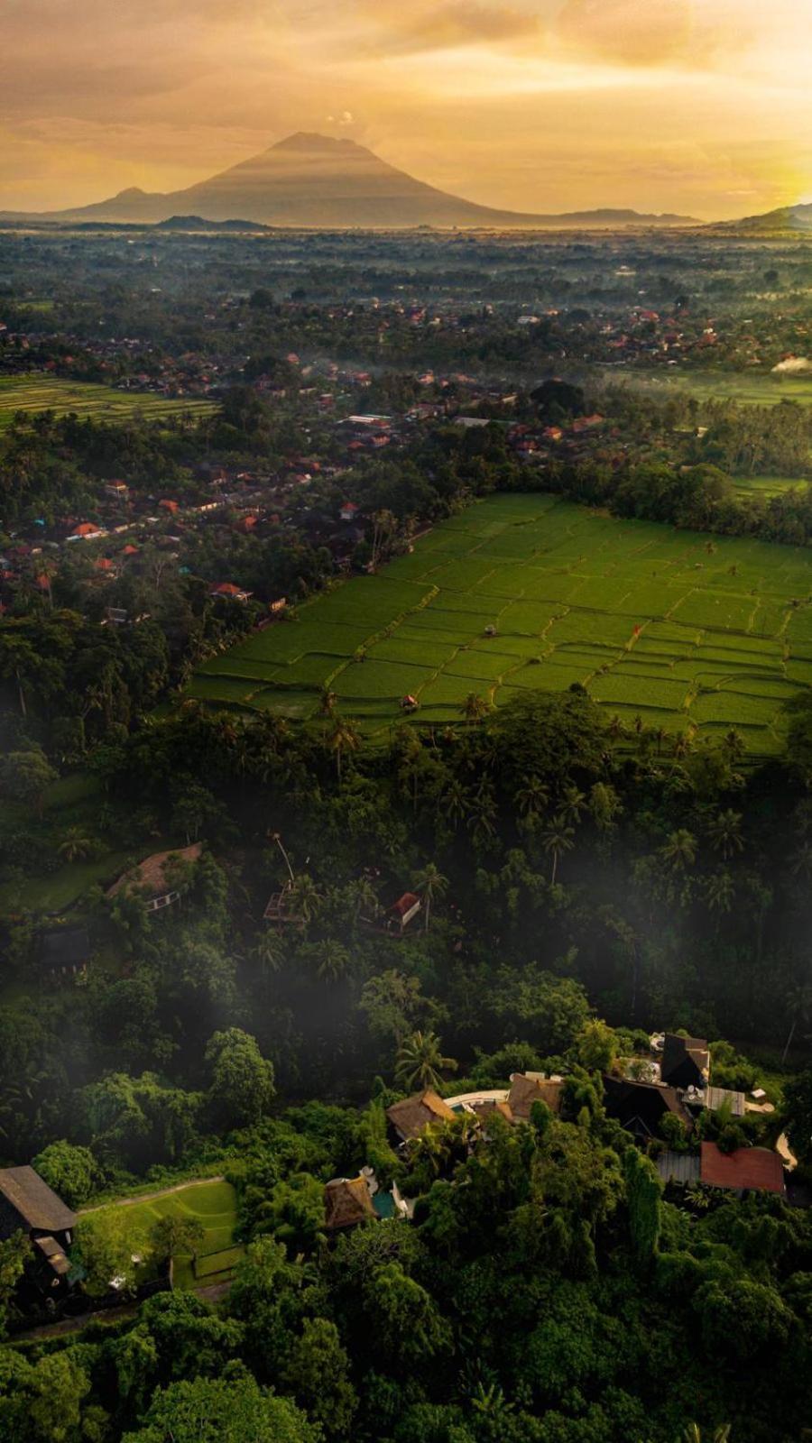 Villa Cella Bella Ubud 외부 사진